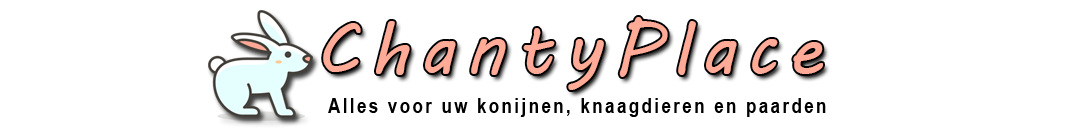 logo rabbitbalance